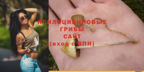 бутират Арсеньев