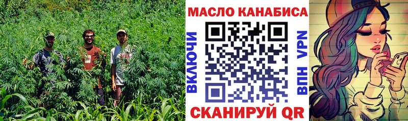omg tor  Приморск  Дистиллят ТГК жижа  цена  