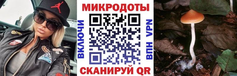 Псилоцибиновые грибы GOLDEN TEACHER  ссылка на мегу ONION  Приморск 